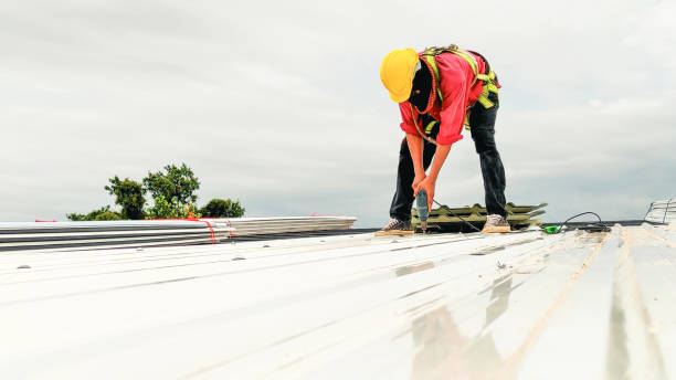 Roof Moss and Algae Removal in Black Earth, WI